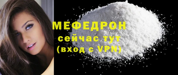 индика Тавда
