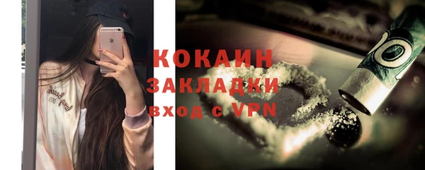 индика Сясьстрой