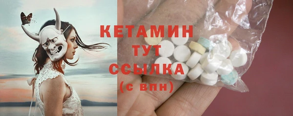 индика Тавда
