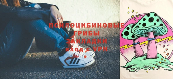 Альфа ПВП Арсеньев