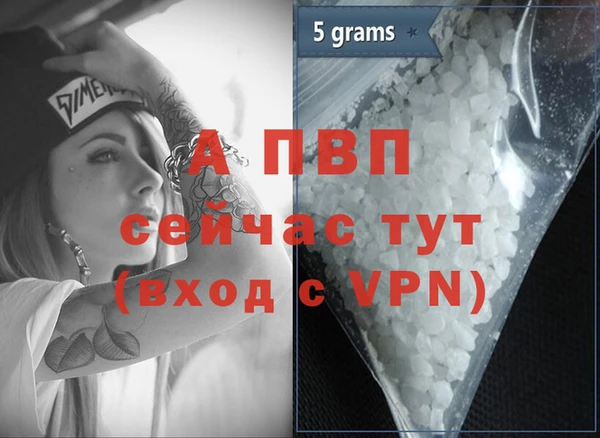 индика Сясьстрой