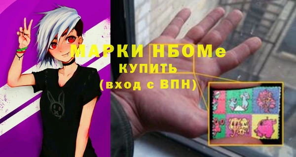 индика Тавда